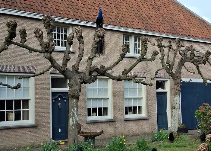 Pauwenhof Lägenhet *